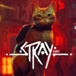 Review Stray