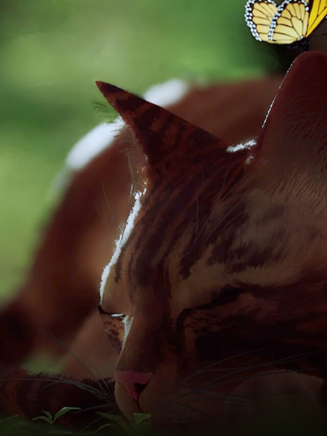 Jogos Protagonizados por animais