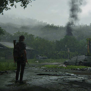 The Last of Us Online Cancelado