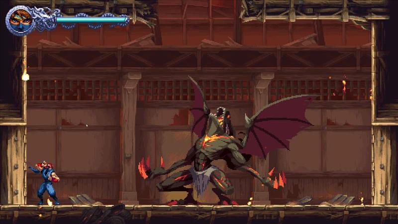 Ninja Gaiden Ragebound